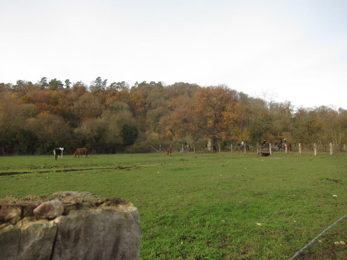 Le Murmure De La Falaise Bed & Breakfast Beaumont-le-Roger Luaran gambar